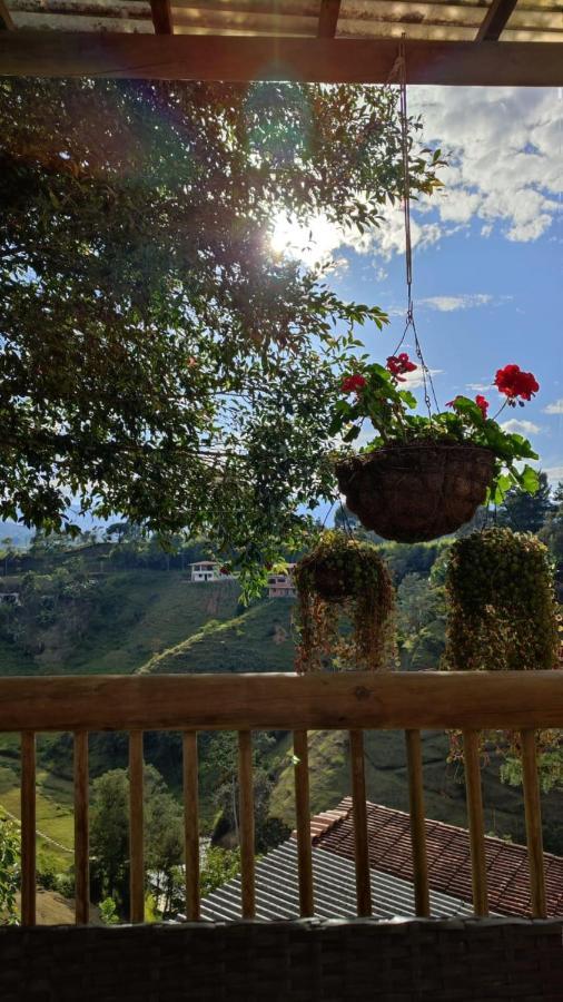 Unique Glamping / Domo Betsaida Guatape
