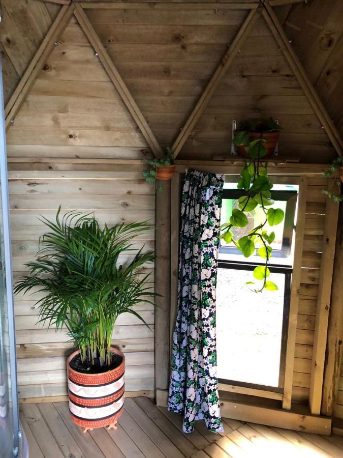 Unique Glamping / Domo Betsaida Guatape
